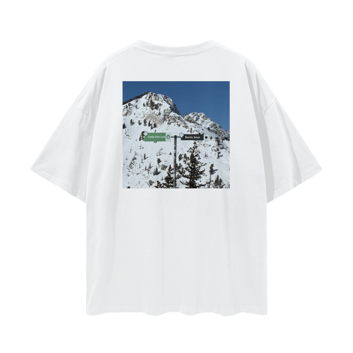 Rogue,Rogue Snow,T Shirt